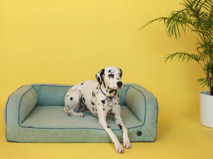 SLEEPER  Sofa