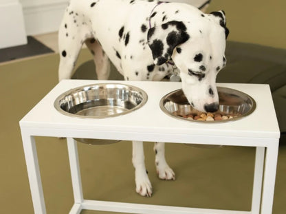 Ceramic Dog Bowl Ceramic Bowl