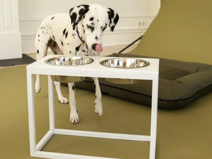 Ceramic Dog Bowl Ceramic Bowl