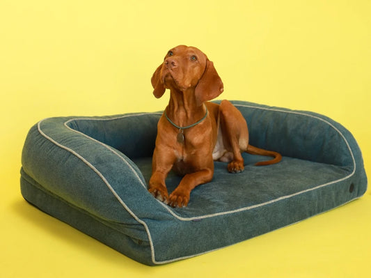 Hundesofa SLEEPER aus Möbelvelour#Blau
