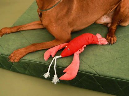 LOBSTER SEBASTIAN