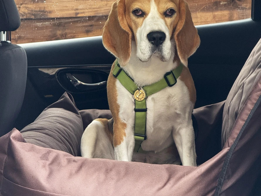 BUGGY MOKKO Car seat for dogs made of faux leather and furniture velour for miniature and small dogs / Dog carrier bag / Waterproof / Premium