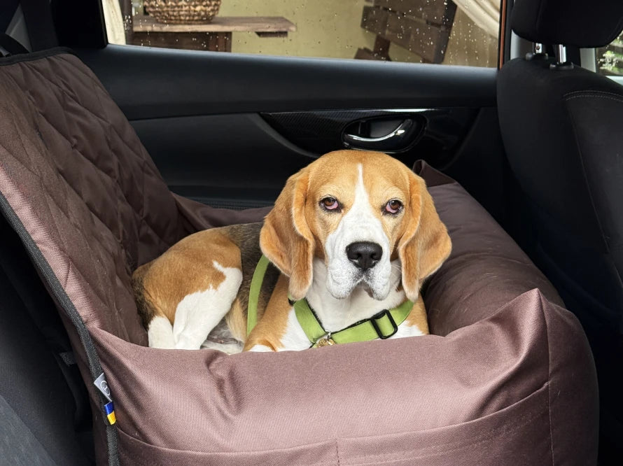 BUGGY MOKKO Car seat for dogs made of faux leather and furniture velour for miniature and small dogs / Dog carrier bag / Waterproof / Premium