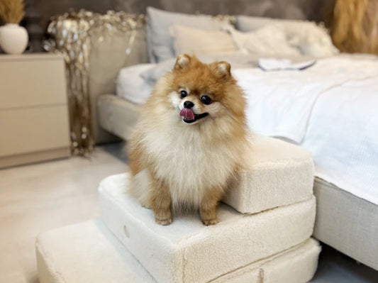 TETRIS Fur Double
