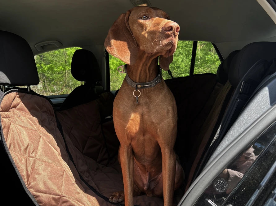 Car Dog Hammock Saver Brown - Transformer