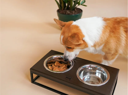 Ceramic Dog Bowl Ceramic Bowl