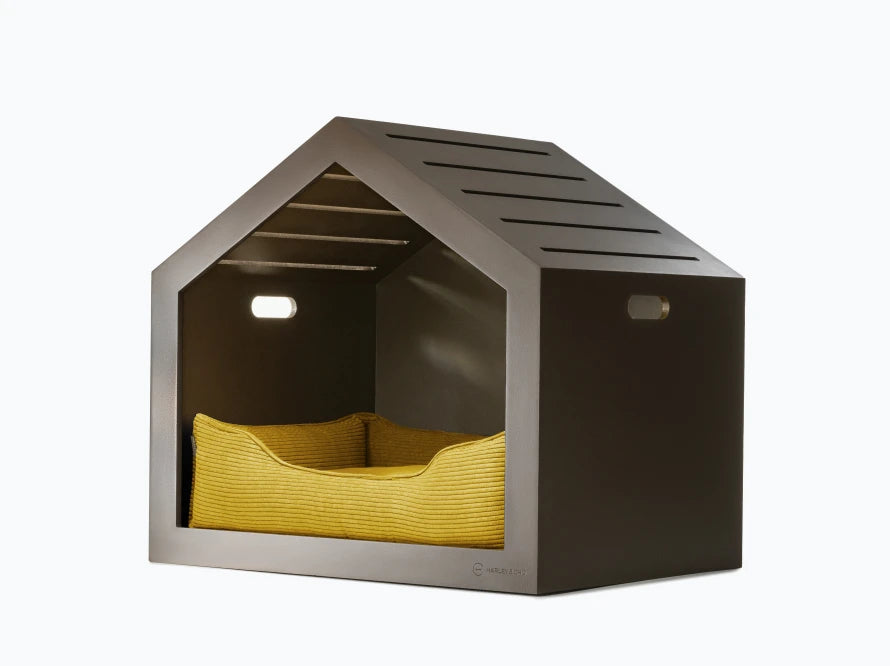 SHELTER Braun Velvet#Gelb
