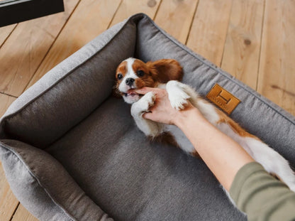dog bed Dreamer Graphite