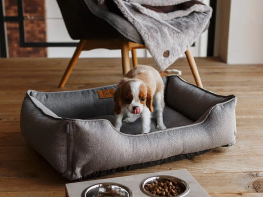 dog bed Dreamer Graphite