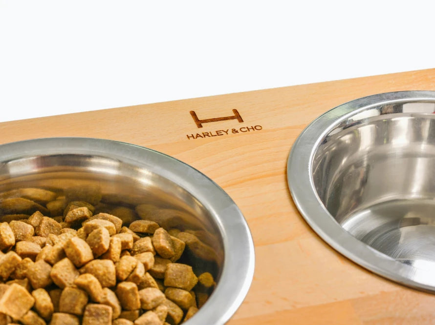 Ceramic Dog Bowl Ceramic Bowl