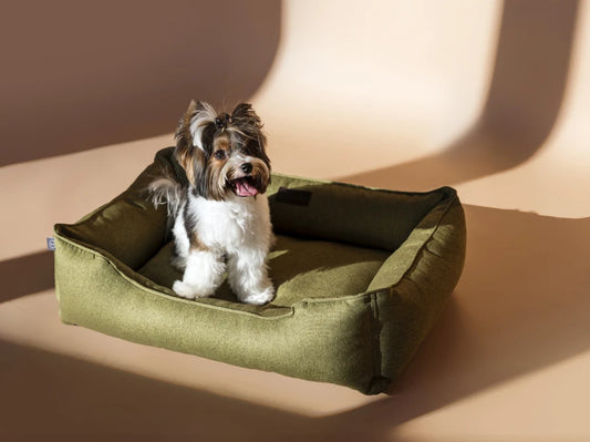 dog bed Dreamer Graphite