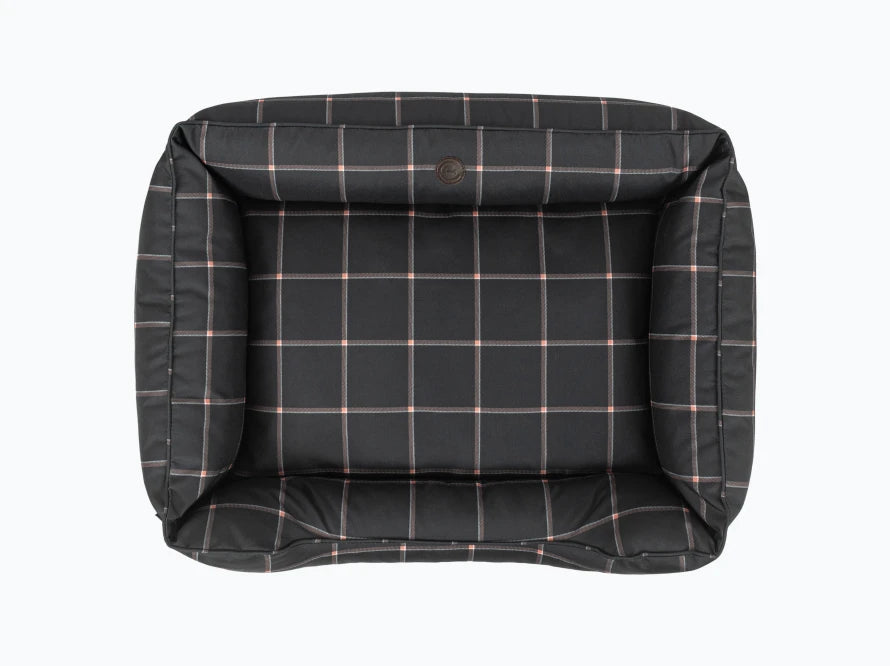 DREAMER Waterproof#Scotch