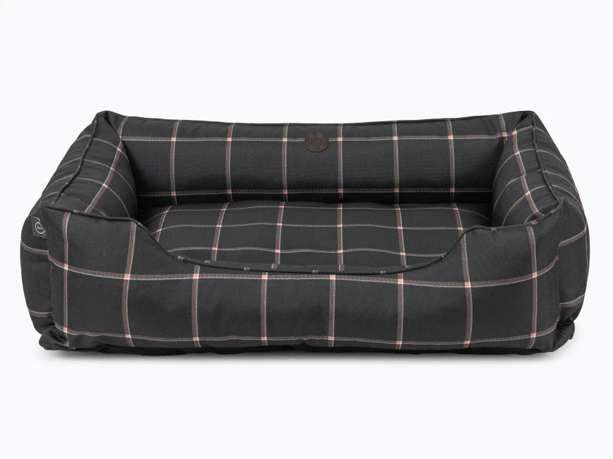 DREAMER Waterproof#Scotch