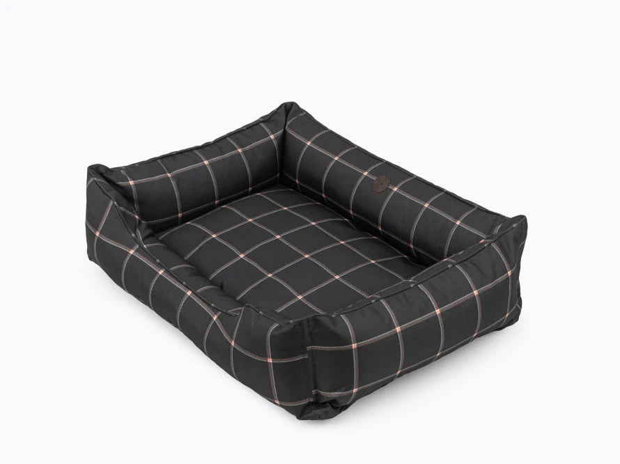 DREAMER Waterproof#Scotch