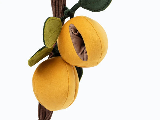 APRICOTS