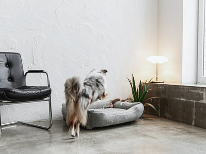 Dog Bed Dreamer Fur Milk
