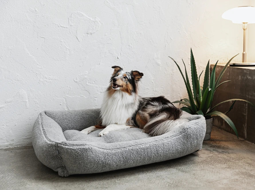 Dog Bed Dreamer Fur Milk
