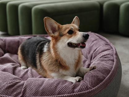 Oval Dog Bed Donut Ocean