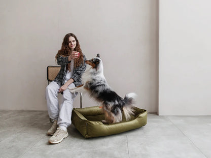 Dog Bed Dreamer Velour Graphite