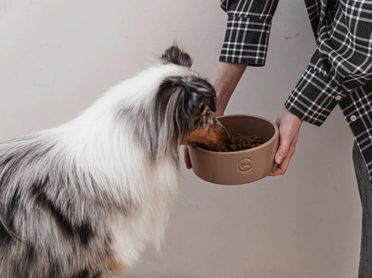 NAPF Keramischer#Kakao