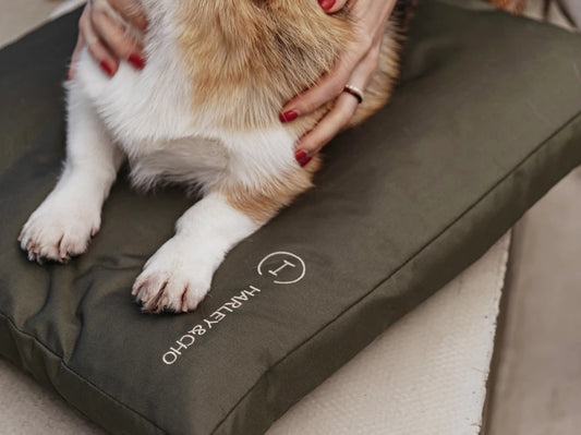 dog cushion Simple
