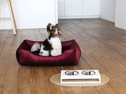 Dog Bed Dreamer Velour Graphite