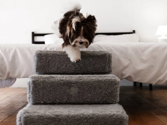 TETRIS Fur  Double