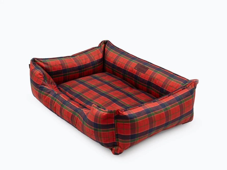 DREAMER Velour#Rote und schwarze Zelle