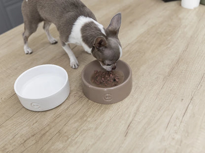Ceramic Dog Bowl Ceramic Bowl
