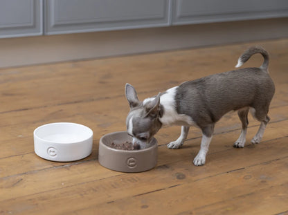 Ceramic Dog Bowl Ceramic Bowl