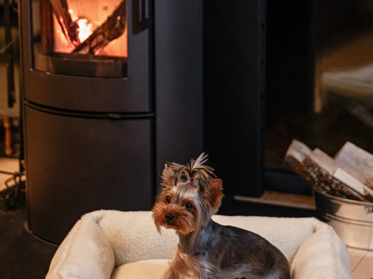 Dog Bed Dreamer Fur Milk