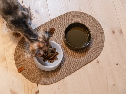Ceramic Dog Bowl Ceramic Bowl