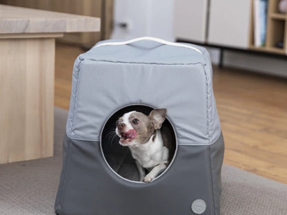 Cat House Cabrio