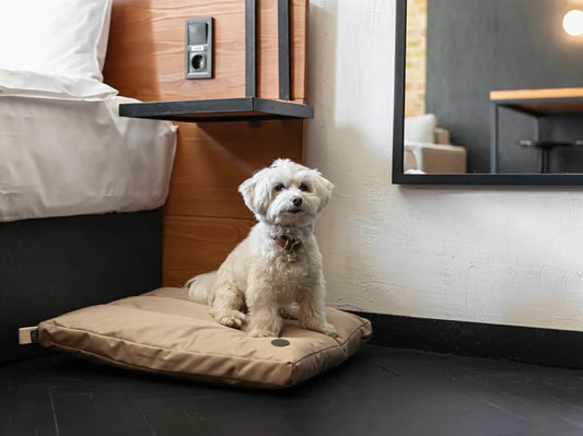 dog cushion Simple
