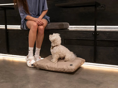 dog cushion Simple