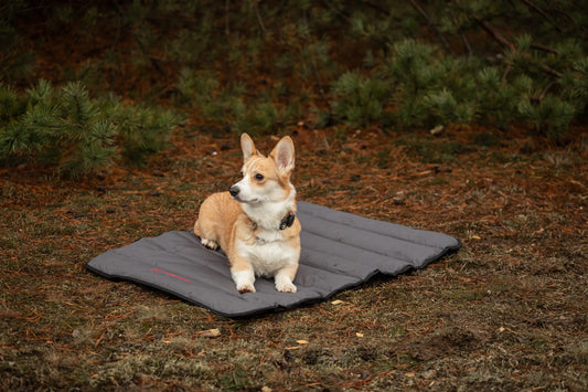 ROLL Reisenbett